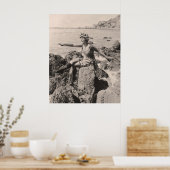 Poster des maillots de bain vintages - 1780196-1 (Cuisine)