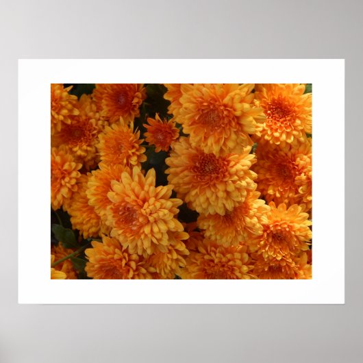 Poster des mamans d'automne (Devant)