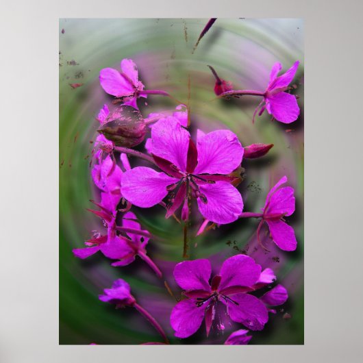 Poster Des mauvaises herbes dans un ouragan (Devant)