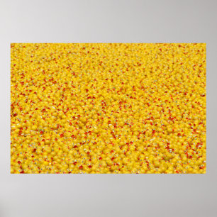 Poster Des milliers de canards