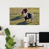 Poster des Mini Chevaux (Bureau à domicile)