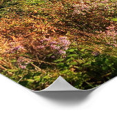 Poster des monts NC (Coin)