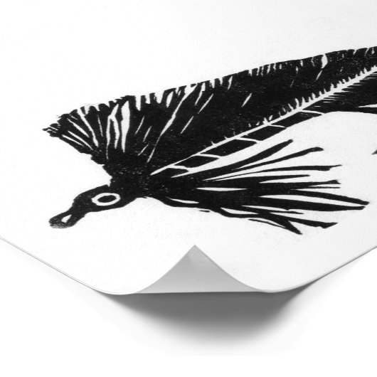 Poster des mouches à truites (Coin)