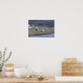 Poster des mouettes sur la plage (Cuisine)