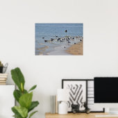 Poster des mouettes sur la plage (Bureau à domicile)