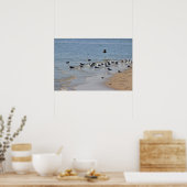 Poster des mouettes sur la plage (Cuisine)