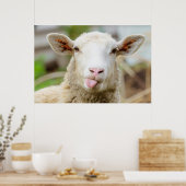 Poster Des moutons gais et rigolos qui sortent la langue (Cuisine)