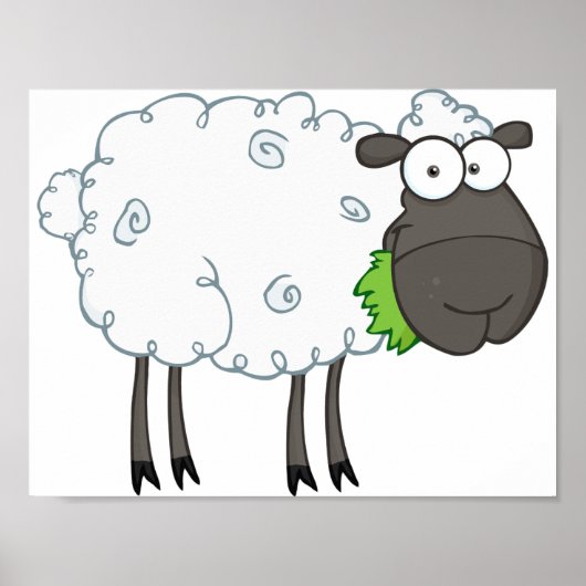 Poster des moutons laineux (Devant)
