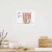 Poster des Muscles du Mur Abdominal Antérieur (Cuisine)