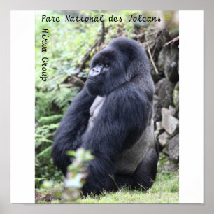 Poster DES national Volcans, groupe de Parc de Hirwa