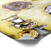 Poster des noms communs 18x12 Champignons du Vermo (Coin)