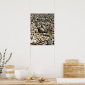 Poster des oeufs tueurs dans les rochers (Cuisine)