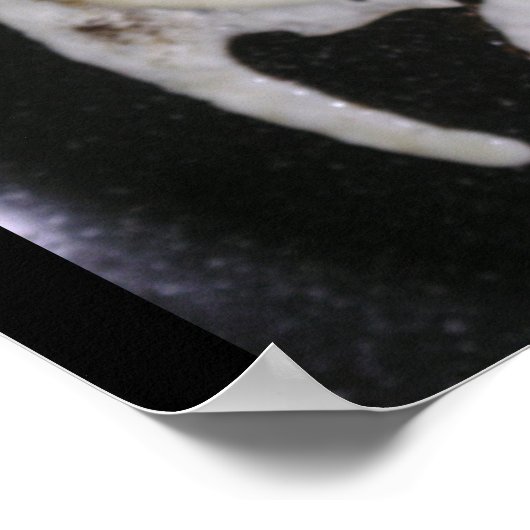 Poster des oeufs Yin Yang (Coin)