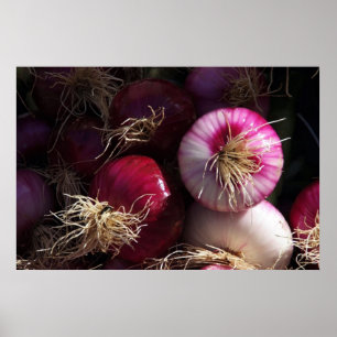 Poster des oignons rouges