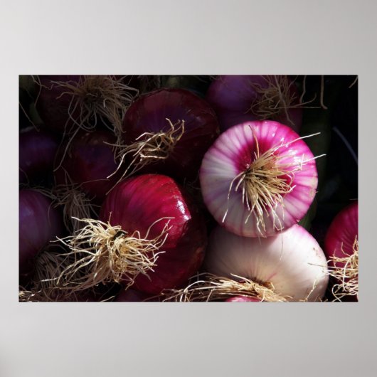Poster des oignons rouges (Devant)
