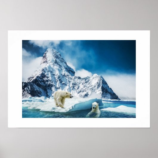 Poster des ours polaires (Devant)