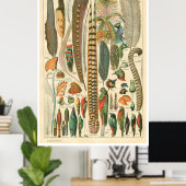 Poster des panaches vintages (Bureau à domicile)