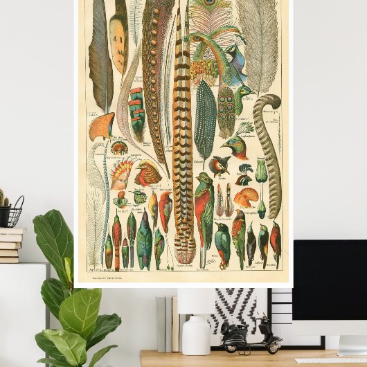 Poster des panaches vintages (Bureau à domicile)
