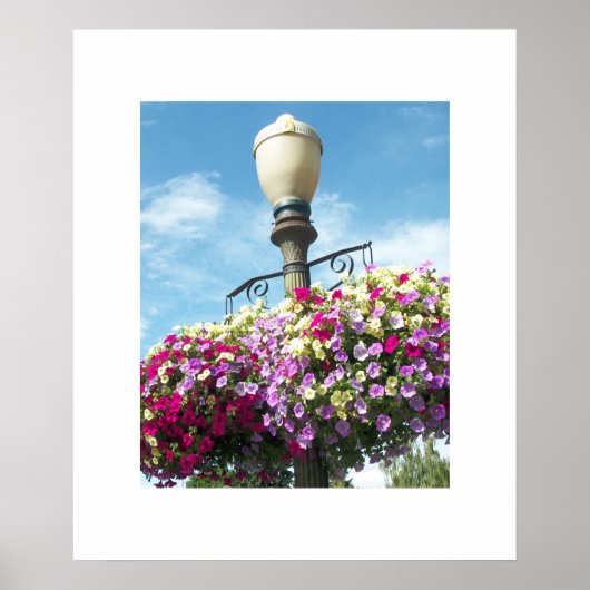 Poster des paniers de fleurs (Devant)