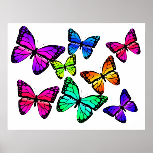 Poster des papillons (Devant)