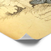 Poster des papillons bleus vintages (Coin)