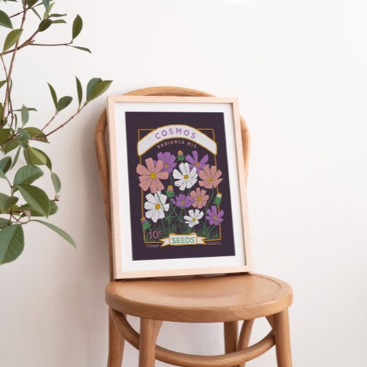 Poster des paquets de graines de fleurs Cosmos (vi