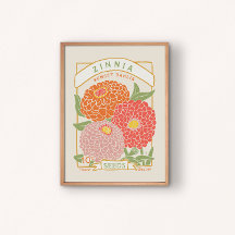 Poster des paquets de semences de Zinnia