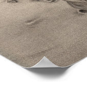 Poster des pas perdus (Coin)