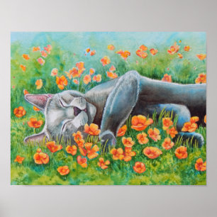 Poster des pavots
