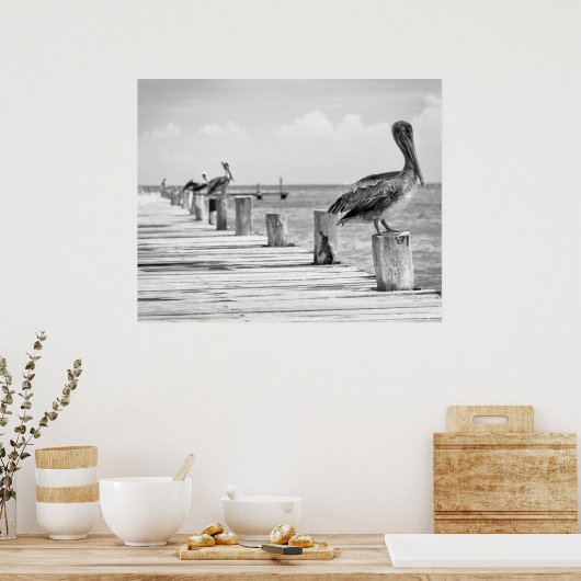 Poster des pélicans (Cuisine)