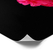 Poster des Peonies Roses Profondes (Coin)