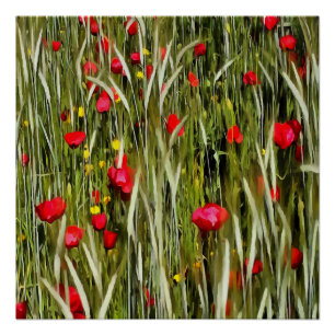 Poster Des Pépites Rouges Dans Une Peinture En Champ Roul