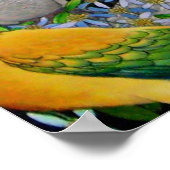 Poster des perroquets du monde (Coin)