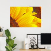 Poster des pétales de tournesol (Bureau à domicile)