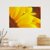 Poster des pétales de tournesol (Cuisine)