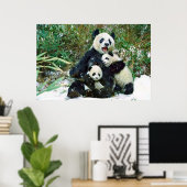 Poster des petits panda (Bureau à domicile)