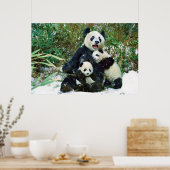 Poster des petits panda (Cuisine)