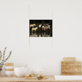 Poster Des Pies De Camargue En Herd Se Trouvant Dans L'Ea (Cuisine)