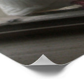 Poster des pigeons blancs (Coin)