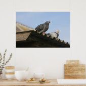 Poster Des pigeons sur le toit. (Cuisine)