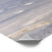 Poster des pingouins (Coin)