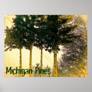 Poster des pins du Michigan