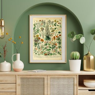 Poster des Plantes de la prairie vintage Fleurs sa