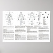 Poster des points cardinaux de l'acupuncture (Devant)