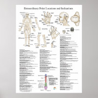 Poster des points d'acupuncture extraordinaires