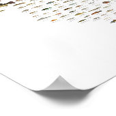 Poster des Poissons de l'Illinois (Coin)