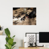 Poster Des Poussins Hen Et Baby (Bureau à domicile)