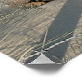 Poster Des Pubs Sur La Plage De Labrador Retriever (Coin)
