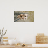 Poster Des Pubs Sur La Plage De Labrador Retriever (Cuisine)