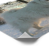 Poster des Pyrénées (Coin)